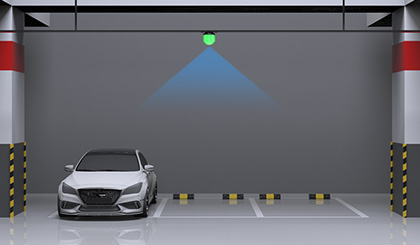 3면 초음파유도